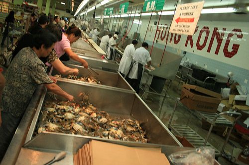 The seafood counter